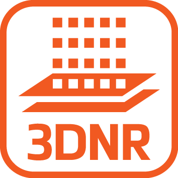 3DNR